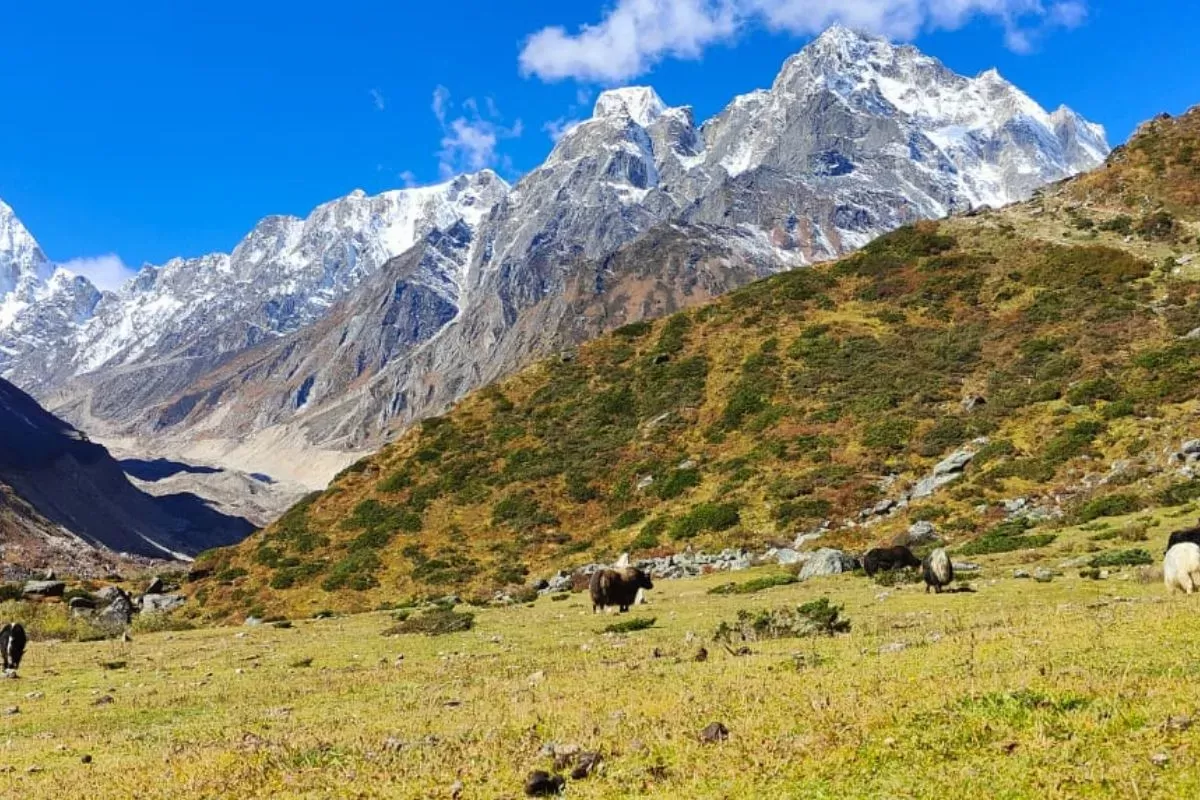 Manaslu Tsum Valley Trek