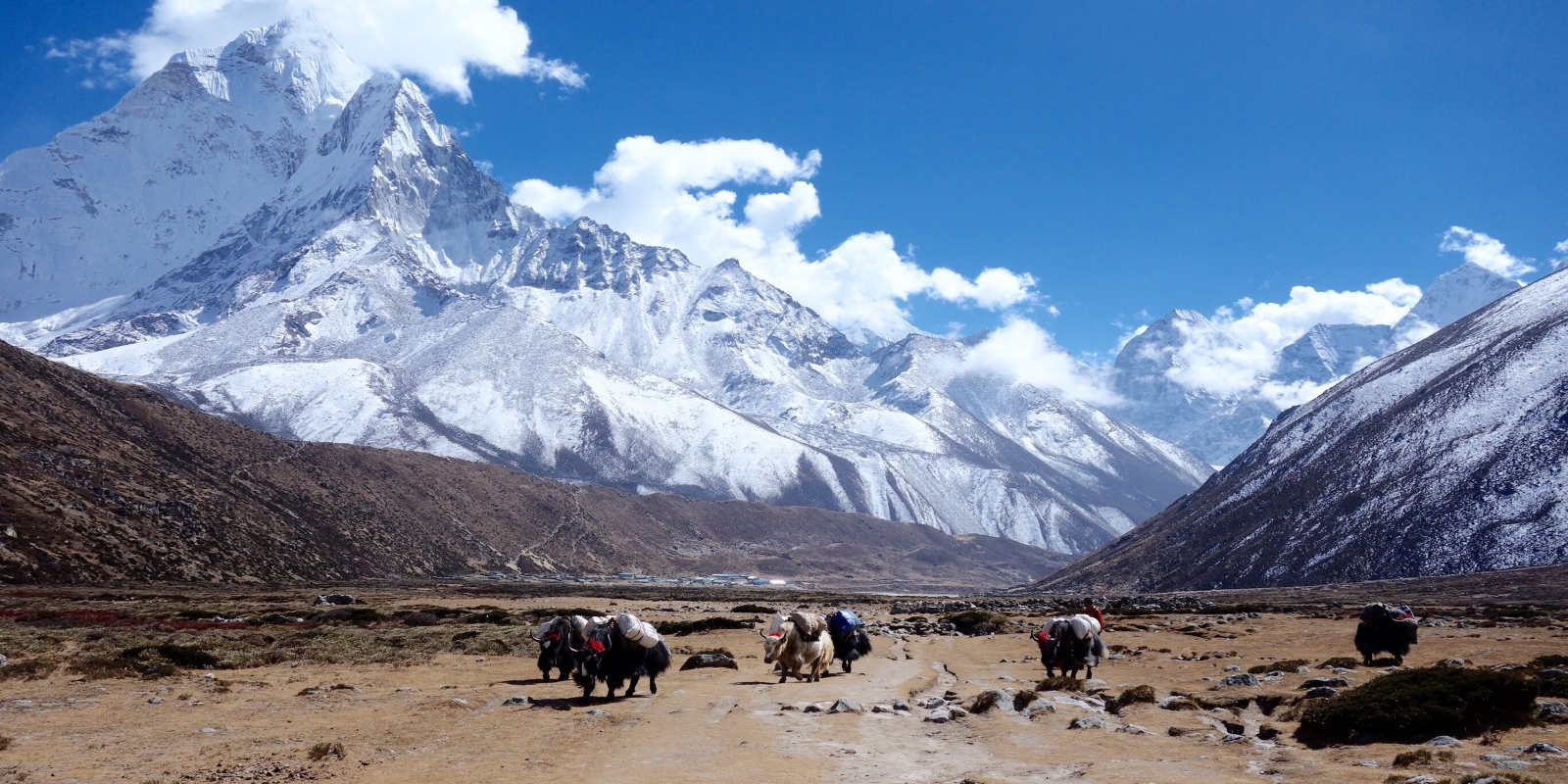 Explore Hidden Treks